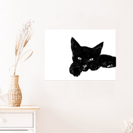 Plakat Leżący czarny kociak z wyciągniętą łapką