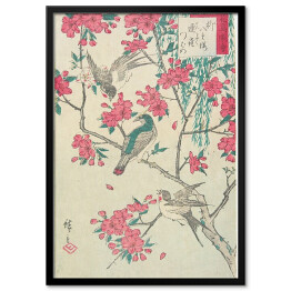 Obraz klasyczny Utugawa Hiroshige Wierzba, kwiaty wiśni, wróble i jaskółka. Reprodukcja
