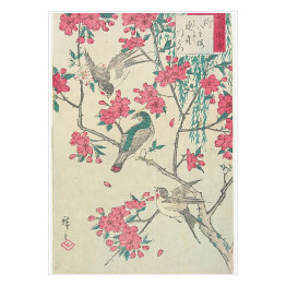 Plakat samoprzylepny Utugawa Hiroshige Wierzba, kwiaty wiśni, wróble i jaskółka. Reprodukcja
