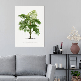 Plakat samoprzylepny Duże liście palmy vintage reprodukcja