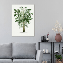 Plakat samoprzylepny Rośliny tropikalne ilustracja w stylu vintage reprodukcja