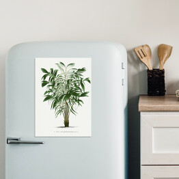 Magnes dekoracyjny Rośliny tropikalne ilustracja w stylu vintage reprodukcja