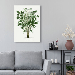 Obraz na płótnie Rośliny tropikalne ilustracja w stylu vintage reprodukcja