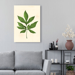Obraz klasyczny Zielony rozłożysty liść na beżowym tle