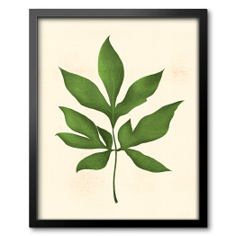Obraz w ramie Zielony rozłożysty liść na beżowym tle