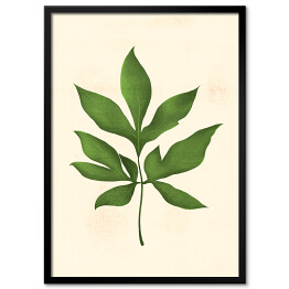 Plakat w ramie Zielony rozłożysty liść na beżowym tle