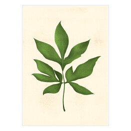Plakat Zielony rozłożysty liść na beżowym tle