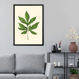Obraz w ramie Zielony rozłożysty liść na beżowym tle