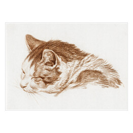 Plakat samoprzylepny Jean Bernard Śpiący kot Reprodukcja