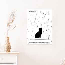 Plakat samoprzylepny Czarny kot z napisem "Grażynko, spójrz... to przemijają Twoje postanowienia noworoczne" - ilustracja