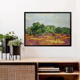 Obraz w ramie Vincent van Gogh Drzewa oliwne. Reprodukcja
