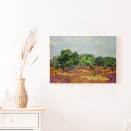 Obraz na płótnie Vincent van Gogh Drzewa oliwne. Reprodukcja