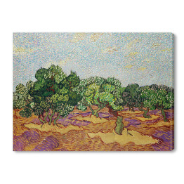Obraz na płótnie Vincent van Gogh Drzewa oliwne. Reprodukcja