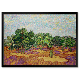 Plakat w ramie Vincent van Gogh Drzewa oliwne. Reprodukcja