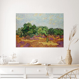 Plakat Vincent van Gogh Drzewa oliwne. Reprodukcja