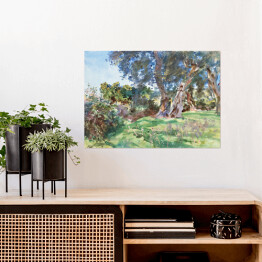 Plakat John Singer Sargent Olive Trees, Corfu Reprodukcja
