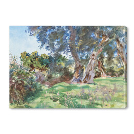 Obraz na płótnie John Singer Sargent Olive Trees, Corfu Reprodukcja