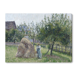 Obraz na płótnie Camille Pissarro Jabłonie w Eragny, słoneczny poranek. Reprodukcja