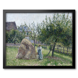 Obraz w ramie Camille Pissarro Jabłonie w Eragny, słoneczny poranek. Reprodukcja