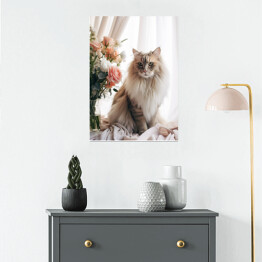 Plakat Portret długowłosego kota maine coon 