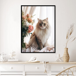Plakat w ramie Portret długowłosego kota maine coon 