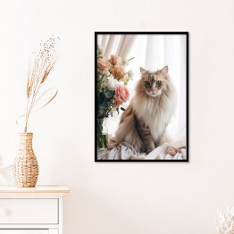 Plakat w ramie Portret długowłosego kota maine coon 