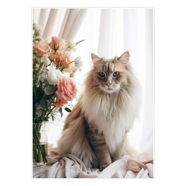 Plakat samoprzylepny Portret długowłosego kota maine coon 