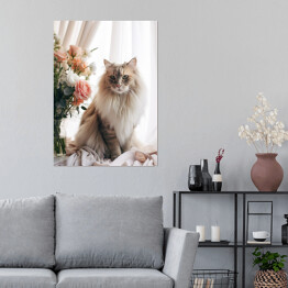 Plakat Portret długowłosego kota maine coon 