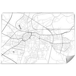 Fototapeta winylowa zmywalna Minimalistyczna mapa Legnicy