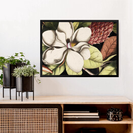 Obraz w ramie Malowane kwiaty derenia