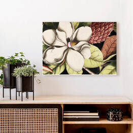 Obraz na płótnie Malowane kwiaty derenia