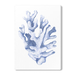 Obraz na płótnie Błękitny koralowiec