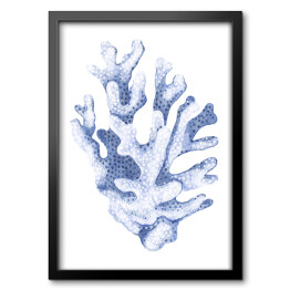 Obraz w ramie Błękitny koralowiec