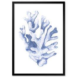 Plakat w ramie Błękitny koralowiec