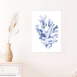 Plakat Błękitny koralowiec