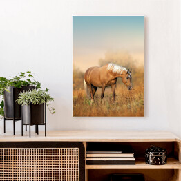 Obraz klasyczny Koń na łące o poranku